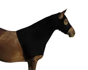 Derby Originals Comfy Stretch Lycra Sleazy Slicker Hood Neck Cover with Zipper - Mini & Pony