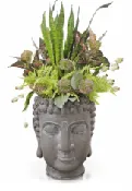 Bursting Buddha
