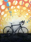 Scott Z6 — Freewheelin' Community Bikes