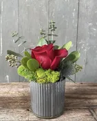 Mini Rose Pot — Sunset Gardens Greenhouse & Floral