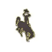 B/H AUTO EMBLEM