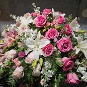 Eternal EleganceTribute