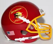 Baywatch Custom Mini Helmet