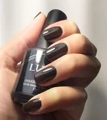 AFICIONADO