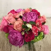 Splash of Spring