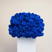 100 Stem Royal Blue Rose Bouquet