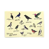 Birds of the Pacific Northwest Postcard