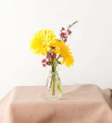 Bottle Blossoms