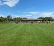 Hancock's Highlander Turf Bermuda Grass Seed - Hulled &amp; Coated