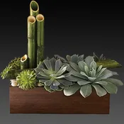 Peaceful Zen Garden