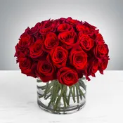 Three Dozen Red Roses