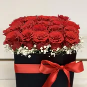 Big box of 25 roses (04)