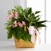 ETERNAL SPIRIT DISH GARDEN   NEW-P014