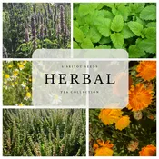 Herbal Tea Bundle