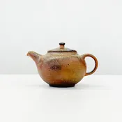 Bizen Teapot #6