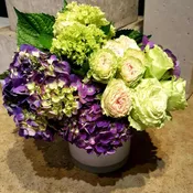 Bold and Beautiful - Designers Choice