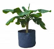 3 Gal Root Pot, 9 x 8"