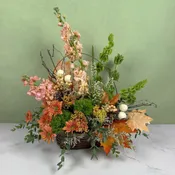 Woodland Whimsy