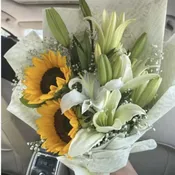 Sunlily