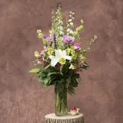 Blooming beauty