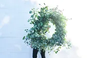 EUCALYPTUS WREATH