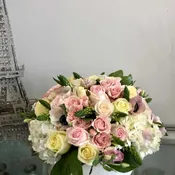 Douceur de Printemps