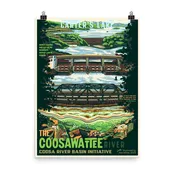 Coosawattee River Art Print