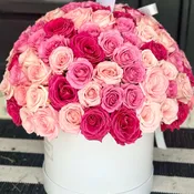 Madeleine