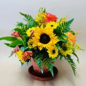 A Pot of Sunshine