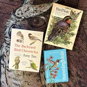 The Birder's Bliss Bundle — Tsunami Books