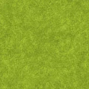 10000-71 Dapple