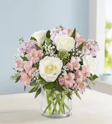 PINK BLUSH