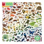 A rainbow world 1000 piece puzzle