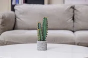 (2-Pack) 10" Artificial Cactus | Fun Home Decor by Vintage Home