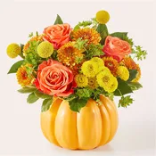 FTD Gourdgeous Pumpkin