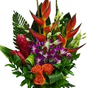 Modern Tropical  With Purple Orchids FS29