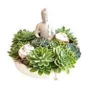 buddha blooms