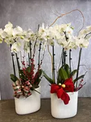 Tall orchid arrangement — BLOOMS BY BAHRAM