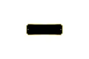 3.25" x 1" Black / Gold Perpetual Plate with Gold Border