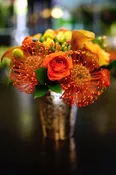 ORANGE PUNCH