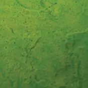 Acid Concrete Stain - NewLook Endura Faux Fusion