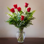 Beautiful Roses