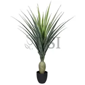 Agave Succulent Plant w Bottle Trunk x31 Leaves Potted, 52in, Green