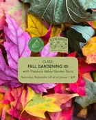 Fall Gardening 101 September 26 At 10:30Am