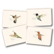 Western Hummingbird Note Card Assortment