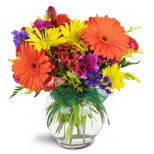 Sunglow Blooms™