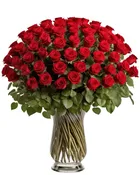 100 Roses (Available in more colors)