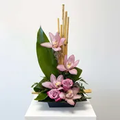 Bamboo Orchid Elegance