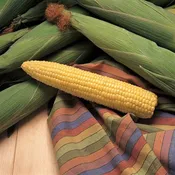 Sweet Corn- Honey Select- 1/4lb