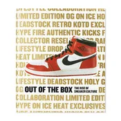 Out of the Box: The Rise of Sneaker Culture